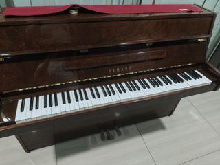 （分類：）位於 。 由 jadenwong1102 提交（商品編號 1461920252，圖片 1）。簡介： 。