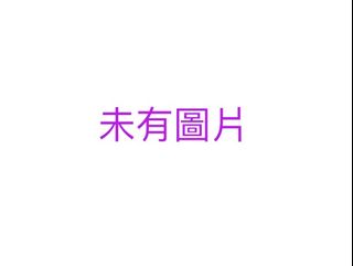 （分類：）位於 。 由 rabbit.toystore 提交（商品編號 1462136442，圖片 1）。簡介： 。