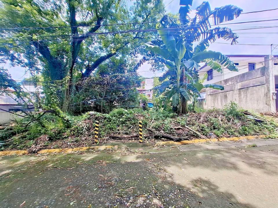 (Category: ) located in . Submitted by rmvlistings (Listing ID 1462139466, Image 1). Description: .