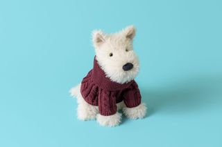 Pet Lovers Collection🐶😻 Collection item 1