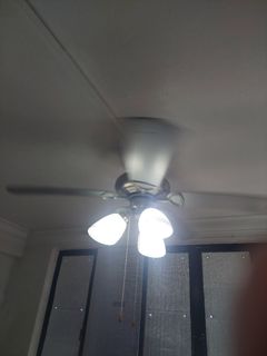 (Category: ) located in . Submitted by chrisant (Listing ID 1462095654, Image 1). Description: .