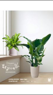 （分類：）位於 。 由 dreamplants 提交（商品編號 1461983319，圖片 1）。簡介： 。