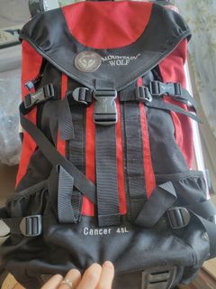 （分類：）位於 。 由 paul_t. 提交（商品編號 1462134154，圖片 1）。簡介： 。