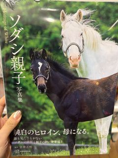 （分類：）位於 。 由 yojane 提交（商品編號 1462108790，圖片 1）。簡介： 。
