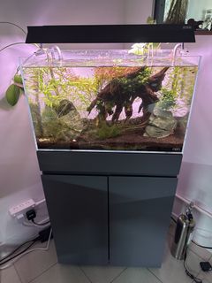 （分類：）位於 。 由 alexandrecc 提交（商品編號 1462116588，圖片 1）。簡介： 。