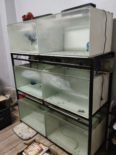 (Category: ) located in . Submitted by namaste888 (Listing ID 1462083953, Image 1). Description: .