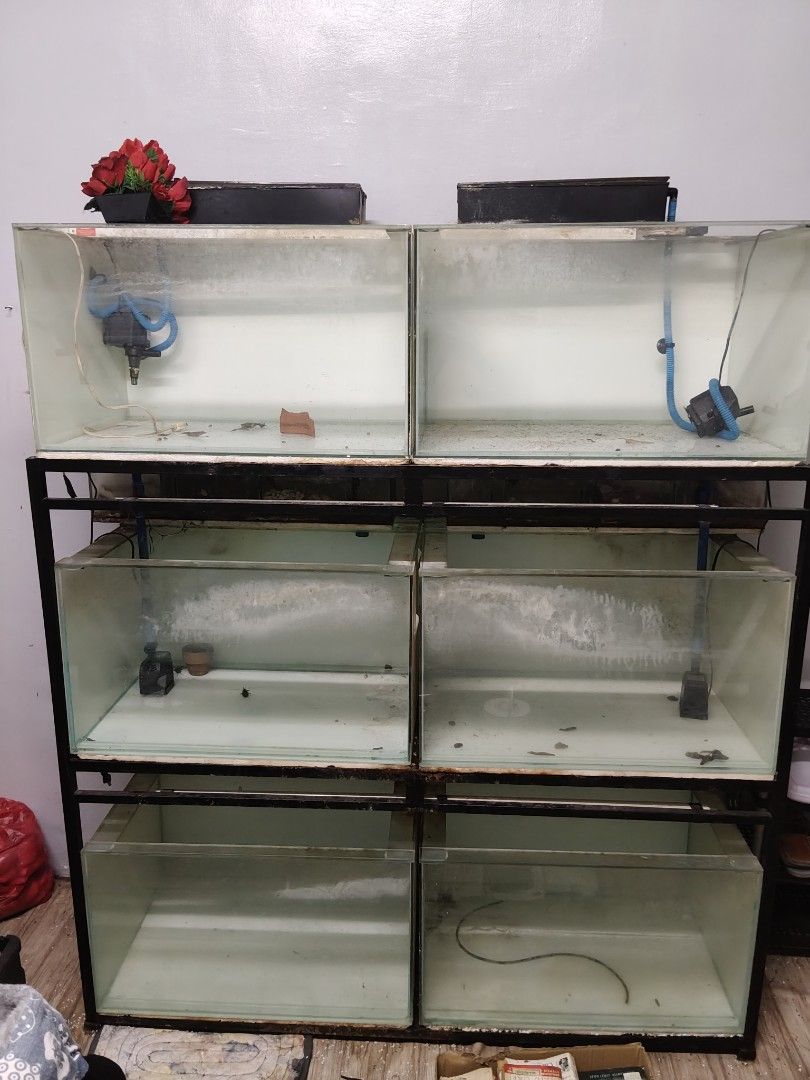 aquarium with stand 16 pcs (take all) (Category: Homes & Other Pet Accessories) located in Manila. Submitted by namaste888 (Listing ID 1462083953, Image 2). Description: .