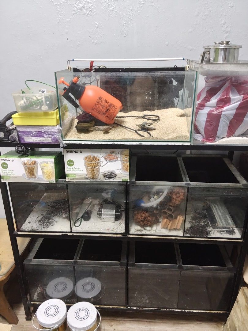 aquarium with stand 16 pcs (take all) (Category: Homes & Other Pet Accessories) located in Manila. Submitted by namaste888 (Listing ID 1462083953, Image 3). Description: .
