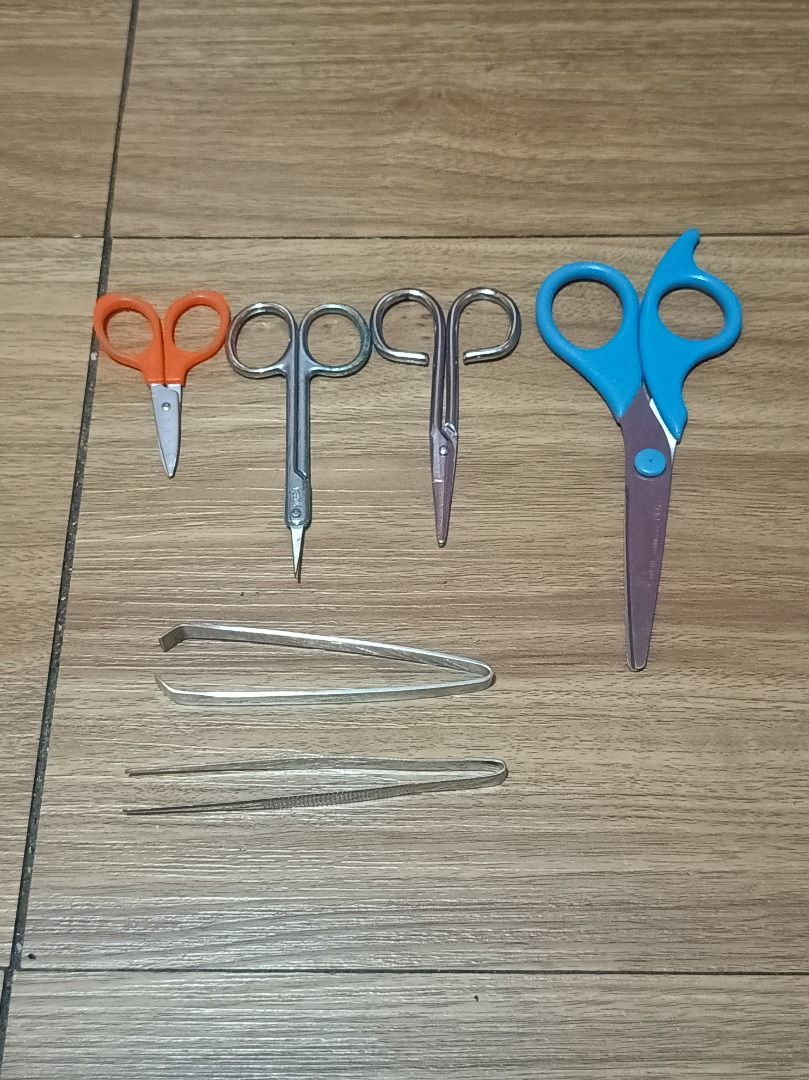 Assorted Scissors and Tweezers Bundle (Category: Craft Supplies & Tools) located in Makati City. Submitted by nyxhemera26 (Listing ID 1462089072, Image 1). Description: Assorted Scissors and Tweezers Bundle (6pcs) 📌All items for bundles are sold as is. What you see is what you get.