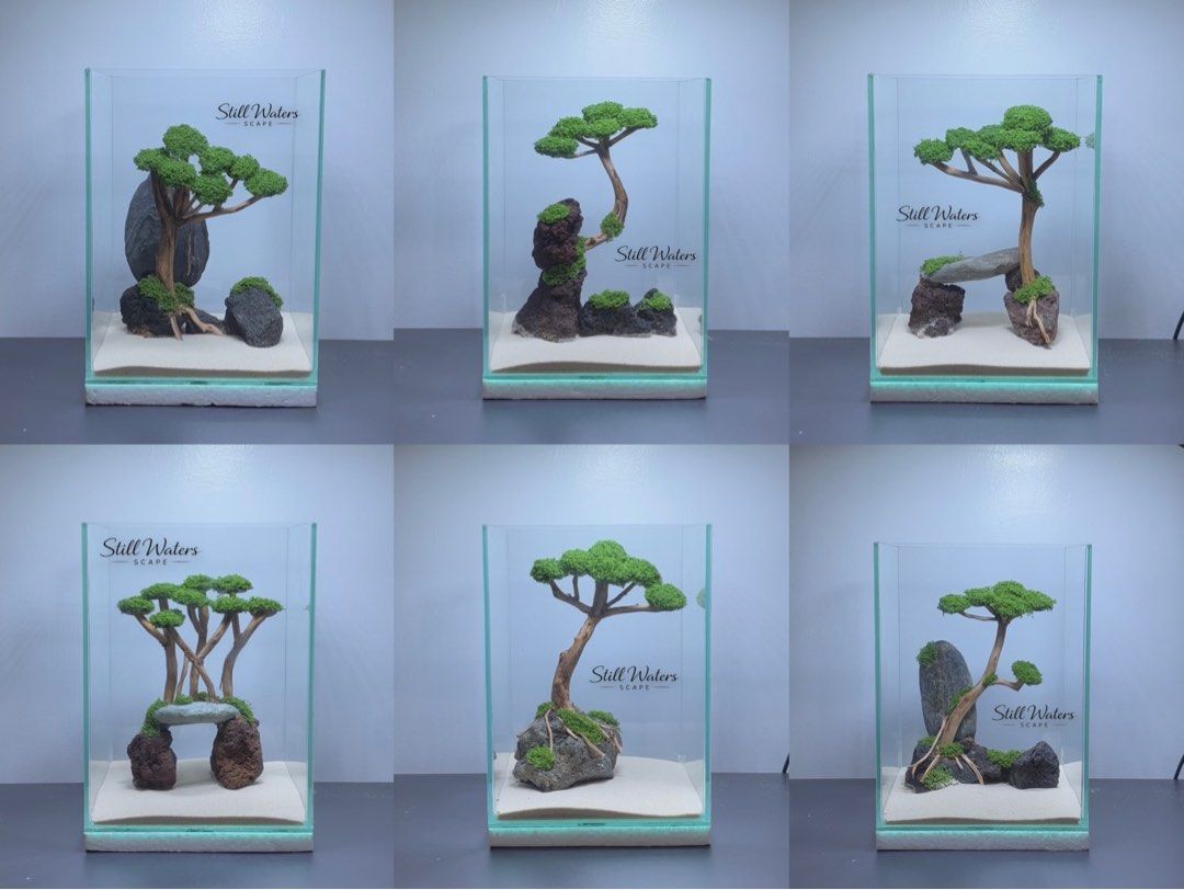 Betta Tank with Bonsai (Category: Home Improvement Tools & Accessories) located in Mandaluyong City. Submitted by cjsantdas (Listing ID 1462114490, Image 1). Description: 6x6x8 Betta tank with bonsai design (artificial moss) 🌴 Available designs on the last picture. PM for orders/inquiries :) 💌 FB page: Still Waters Scape // Tiktok: @stillwatersscape 📍Mandaluyong.