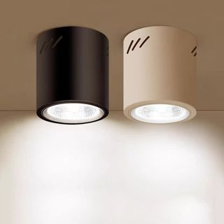 Downlight/Eyeball/Surface Panel/Led Stripes/Remote Light Bulb 收藏品 2