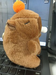 (Category: ) located in . Submitted by pingapongshark (Listing ID 1462113068, Image 1). Description: .