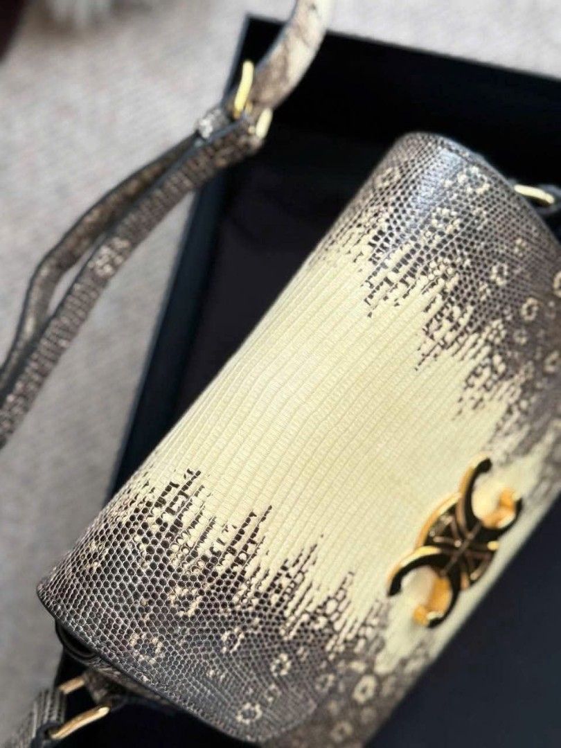 Celine Triomphe Bag Python Leather (Category: Bags & Wallets) located in Singapore. Submitted by christina270708 (Listing ID 1462094525, Image 3). Description: only bag n check auth .