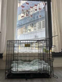 （分類：）位於 。 由 youngfox_8d2eea 提交（商品編號 1462145727，圖片 1）。簡介： 。