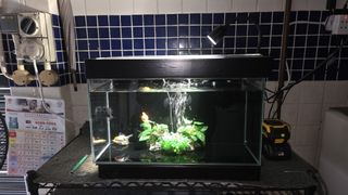 (Category: ) located in . Submitted by madad89 (Listing ID 1462136305, Image 1). Description: .