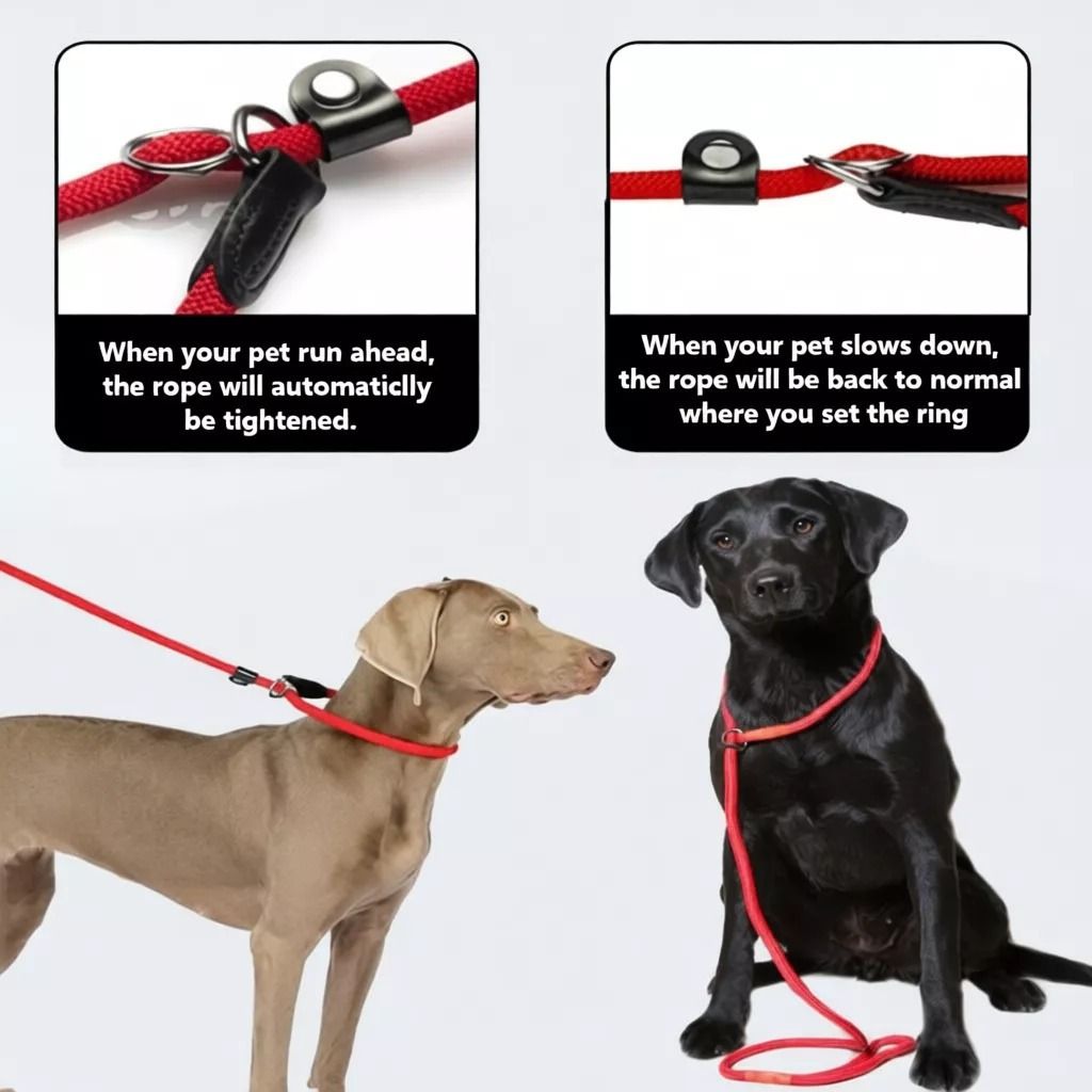 Dog Leash nylon Adjustable (Category: Homes & Other Pet Accessories) located in Caloocan City. Submitted by mysticforest_f03926 (Listing ID 1462091725, Image 2). Description: Dog Leash nylon Adjustable Small: P60 Large: P80 Material: High-quality nylon Size: Small to large dogs With strong metal hook Comfortable handle with padded grip.