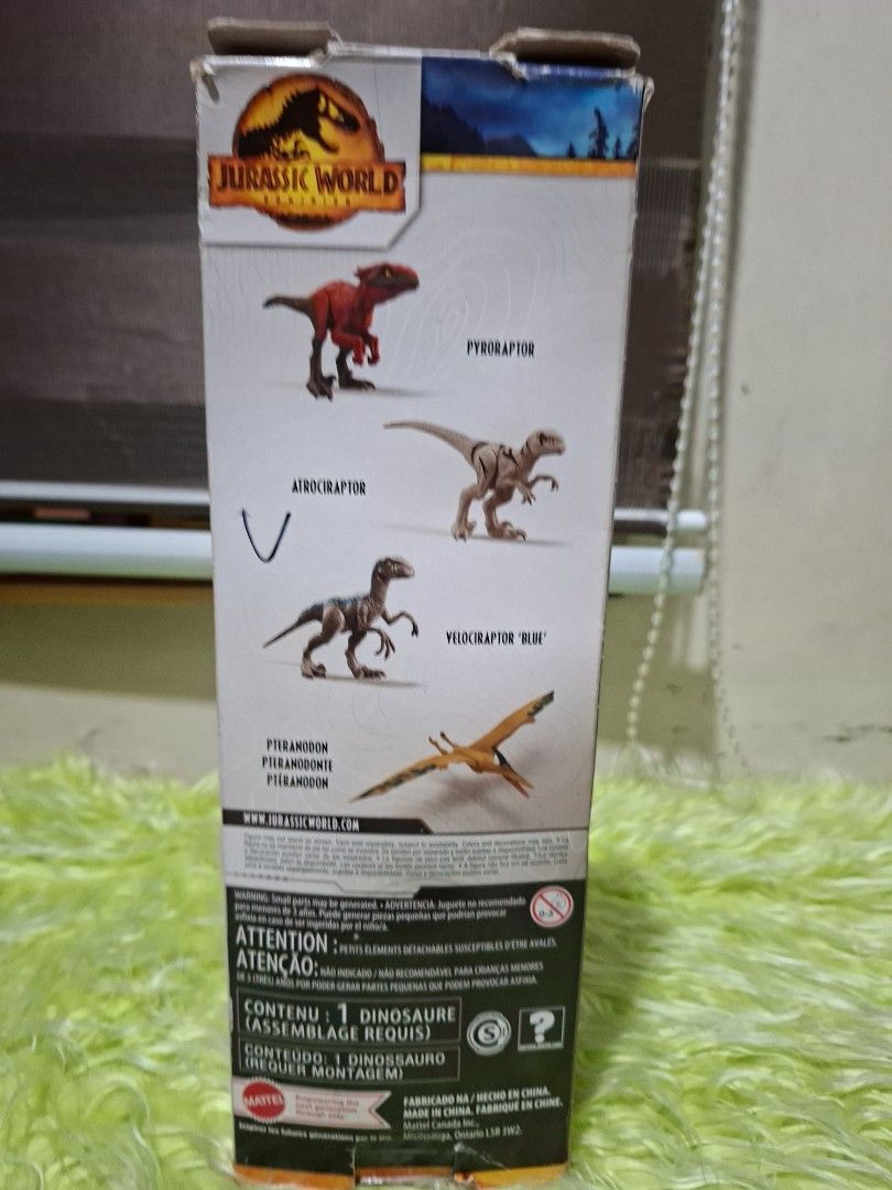 Jurassic World "Pyroraptor" Action Figure (Category: Figurines & Statues) located in Manila. Submitted by happywindmarlyn (Listing ID 1462179295, Image 2). Description: -This particular product is the 12-inch basic assortment figure from the Jurassic World Dominion film toy line. -It features standard articulation points (arms, legs, and tail) and showcases the distinct, vibrant red and black feathered design..