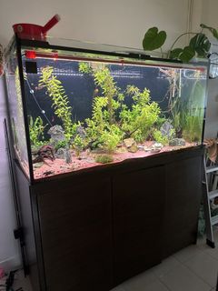 （分類：）位於 。 由 alexandrecc 提交（商品編號 1462116440，圖片 1）。簡介： 。