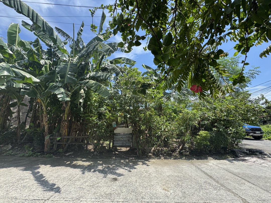 (Category: ) located in . Submitted by shopoh (Listing ID 1462064863, Image 1). Description: .