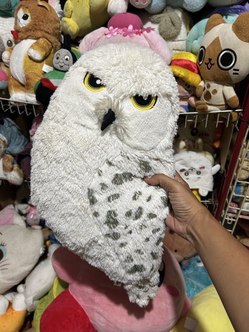 Owl of Harry Potter (Category: Western Merchandise) located in Cotabato. Submitted by hanshasells03 (Listing ID 1462170659, Image 1). Description: .