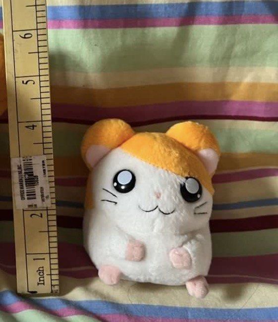Tottoko hamutaro 4 inches plush (Category: Plushies & Soft Toys) located in Paranaque City. Submitted by bonsaiart (Listing ID 1462103807, Image 3). Description: Pre owned Good condition 850( fixed) +sf Payment via GCASH or paymaya No to meetup No to cop / cod Shipping via j&t only.