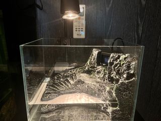 （分類：）位於 。 由 novlogo 提交（商品編號 1462084971，圖片 1）。簡介： 。
