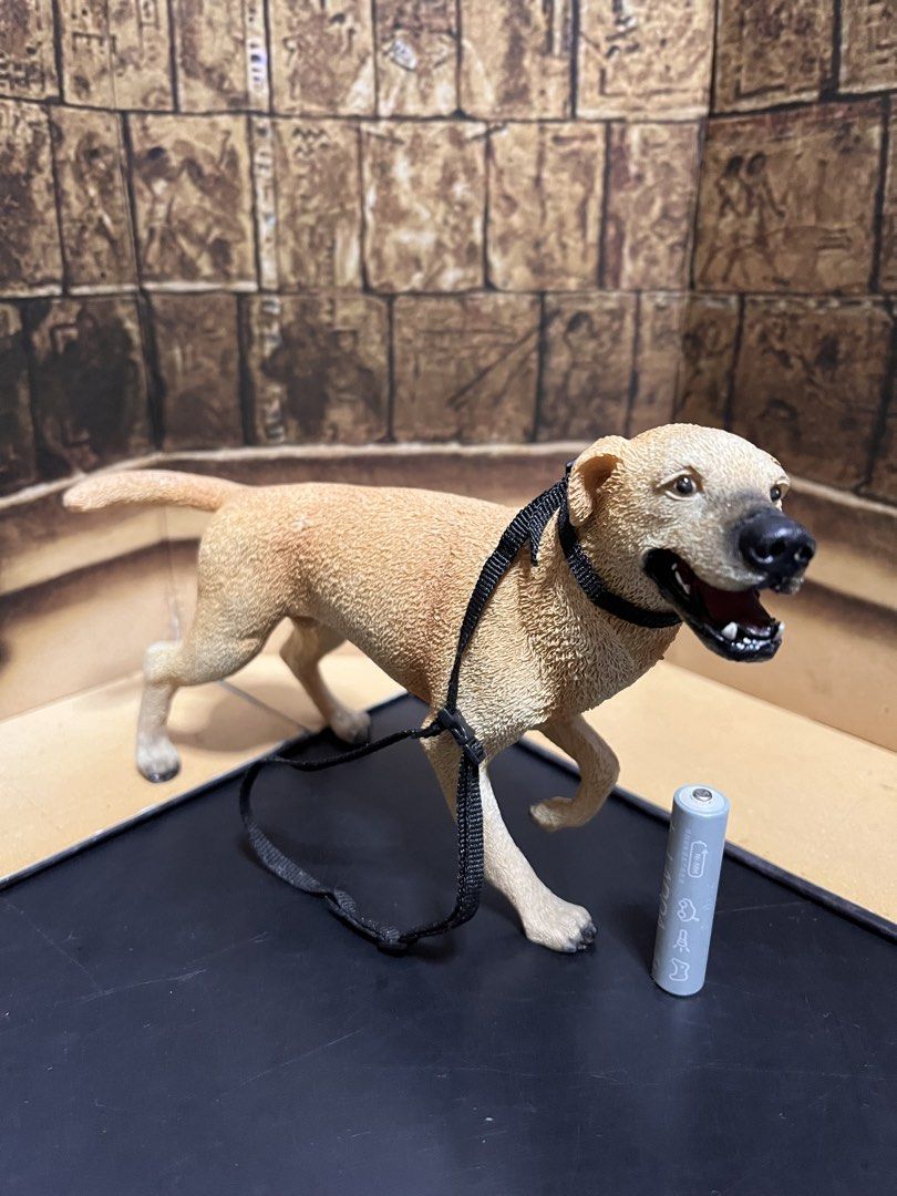 1:6 scale labrador (Category: Figurines & Statues) located in San Juan City. Submitted by universalelite (Listing ID 1462318691, Image 2). Description: 1:6 scale labrador No issue Rfs decluttering .