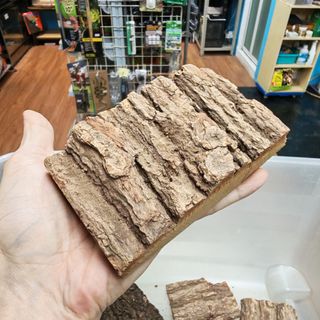 （分類：）位於 。 由 myaqualand 提交（商品編號 1462366597，圖片 1）。簡介： 。