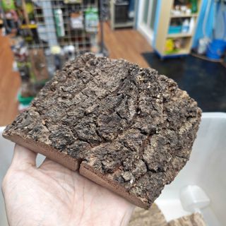（分類：）位於 。 由 myaqualand 提交（商品編號 1462366267，圖片 1）。簡介： 。