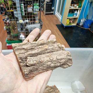 （分類：）位於 。 由 myaqualand 提交（商品編號 1462366835，圖片 1）。簡介： 。