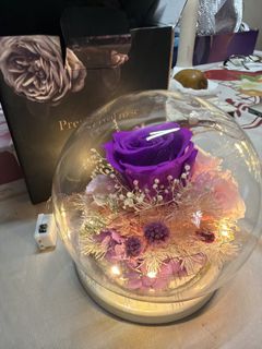 （分類：）位於 。 由 happysquirrels 提交（商品編號 1462324606，圖片 1）。簡介： 。