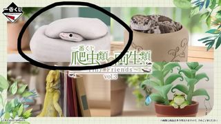（分類：）位於 。 由 pla6338 提交（商品編號 1462328421，圖片 1）。簡介： 。