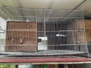 (Category: ) located in . Submitted by raulbee (Listing ID 1462284529, Image 1). Description: .