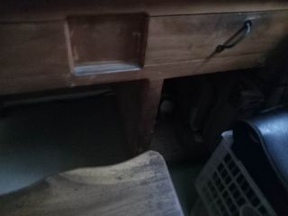 (Category: ) located in . Submitted by northfacered (Listing ID 1462325648, Image 1). Description: .