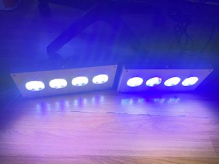 (Category: ) located in . Submitted by kentwong8055 (Listing ID 1462333476, Image 1). Description: .