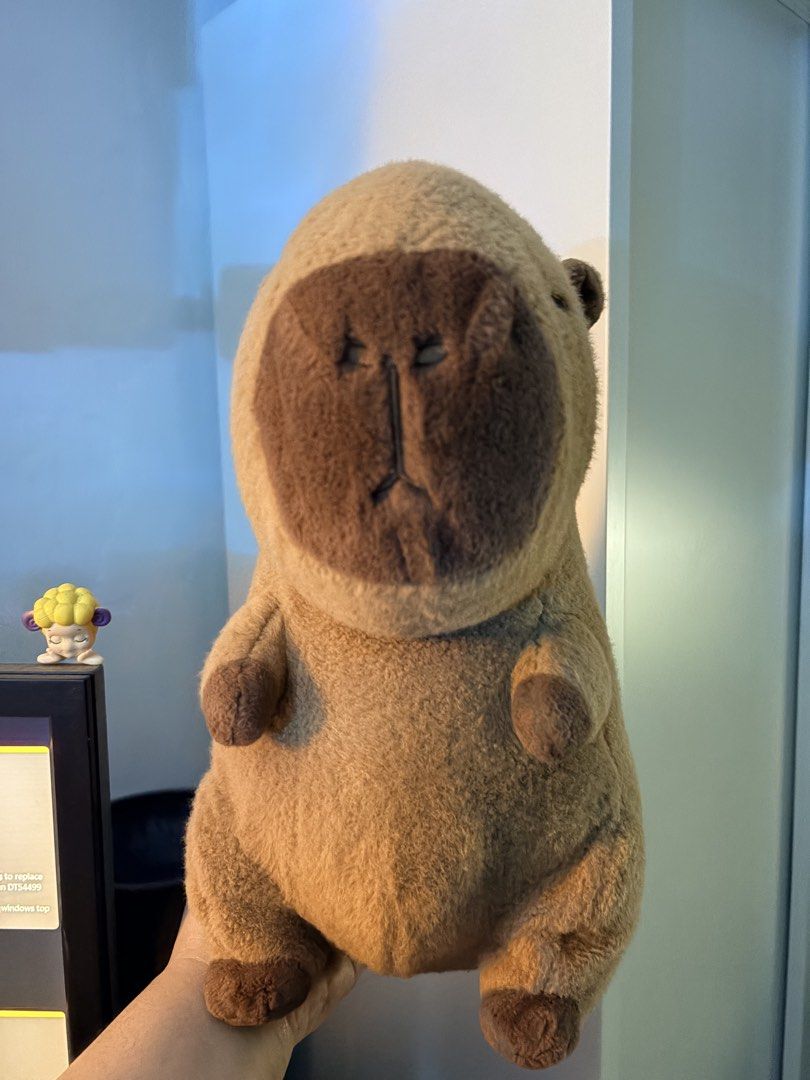 Capybara Plush Toy Stuffed Animal (Category: Plushies & Soft Toys) located in Muntinlupa City. Submitted by andidoodad (Listing ID 1462366580, Image 2). Description: - Adorable capybara plush toy - Super soft and cuddly - Approximately 10-12 inches long - Ideal for display or as a gift - A must-have for any capybara enthusiast In very good condition..