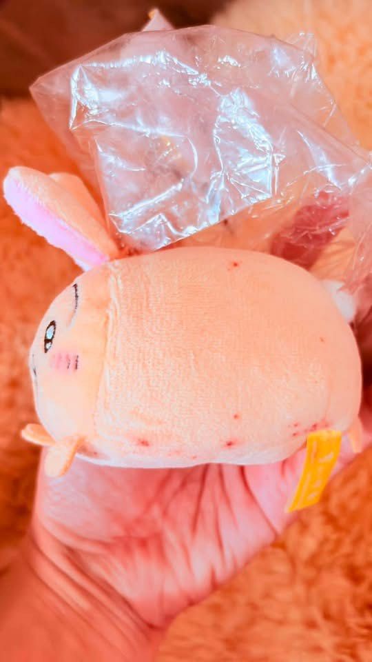 Chiikawa Usagi Plush Keychain (Category: Plushies & Soft Toys) located in Baguio. Submitted by izza_thrifty (Listing ID 1462301078, Image 3). Description: - Adorable Usagi plush toy from Chiikawa. - Features a convenient keychain attachment. - Super soft and squishy texture. - Perfect for decorating bags or as a small collectible. - Brand new with tag still attached. - Please note: there are some small marks on the plush..