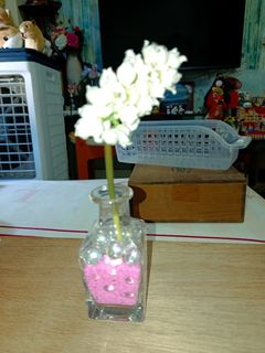 (Category: ) located in . Submitted by kristal68 (Listing ID 1462362131, Image 1). Description: .