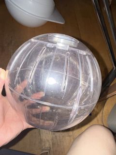 （分類：）位於 。 由 annaying2018 提交（商品編號 1462375781，圖片 1）。簡介： 。