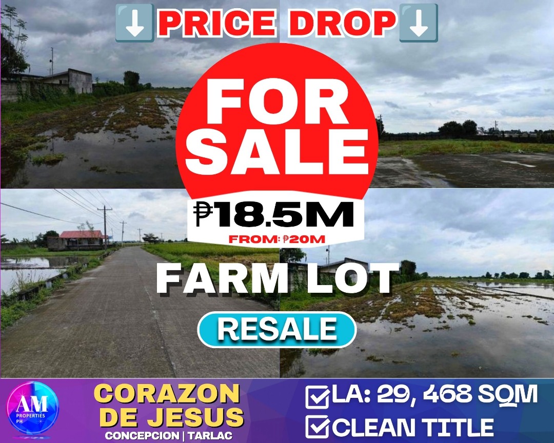 (Category: ) located in . Submitted by am_properties_ph (Listing ID 1337813091, Image 1). Description: .