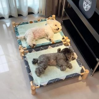 （分類：）位於 。 由 jiziakkzih31377 提交（商品編號 1462372634，圖片 1）。簡介： 。
