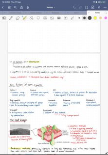 （分類：）位於 。 由 hku.biochem.notes 提交（商品編號 1462300035，圖片 1）。簡介： 。