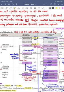 （分類：）位於 。 由 hku.biochem.notes 提交（商品編號 1462308245，圖片 1）。簡介： 。