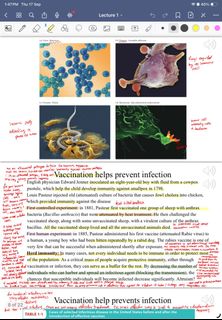 （分類：）位於 。 由 hku.biochem.notes 提交（商品編號 1462308960，圖片 1）。簡介： 。