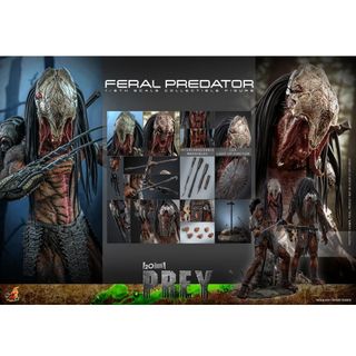 (Category: ) located in . Submitted by shopping_player (Listing ID 1462314540, Image 1). Description: .
