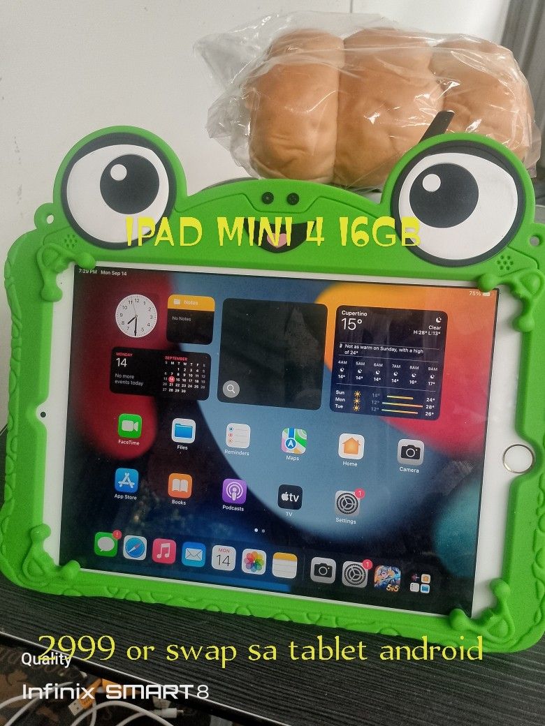 iPad Mini 4 16GB with Frog Case (Category: iPad) located in Caloocan City. Submitted by samyx23 (Listing ID 1462354139, Image 1). Description: - iPad Mini 4 - 16GB Storage - Comes with a fun green frog case - Ideal for kids or playful users - Price: P2999 - Swap for Android tablet accepted - Message me if interested!.