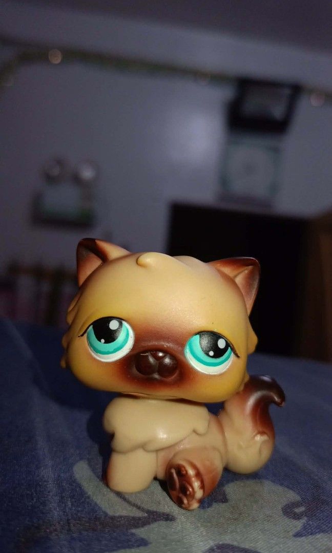 Persian Cat Up For Trade 🔄 (Read Description) (Category: Homes & Other Pet Accessories) located in Manila. Submitted by lpscatscollector (Listing ID 1462412613, Image 1). Description: I am trading this Persian cat for the other Persian cat without the mark in the picture.Please PM me if you are interested!.
