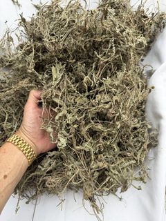 (Category: ) located in . Submitted by bunnyfeeds (Listing ID 1462329508, Image 1). Description: .