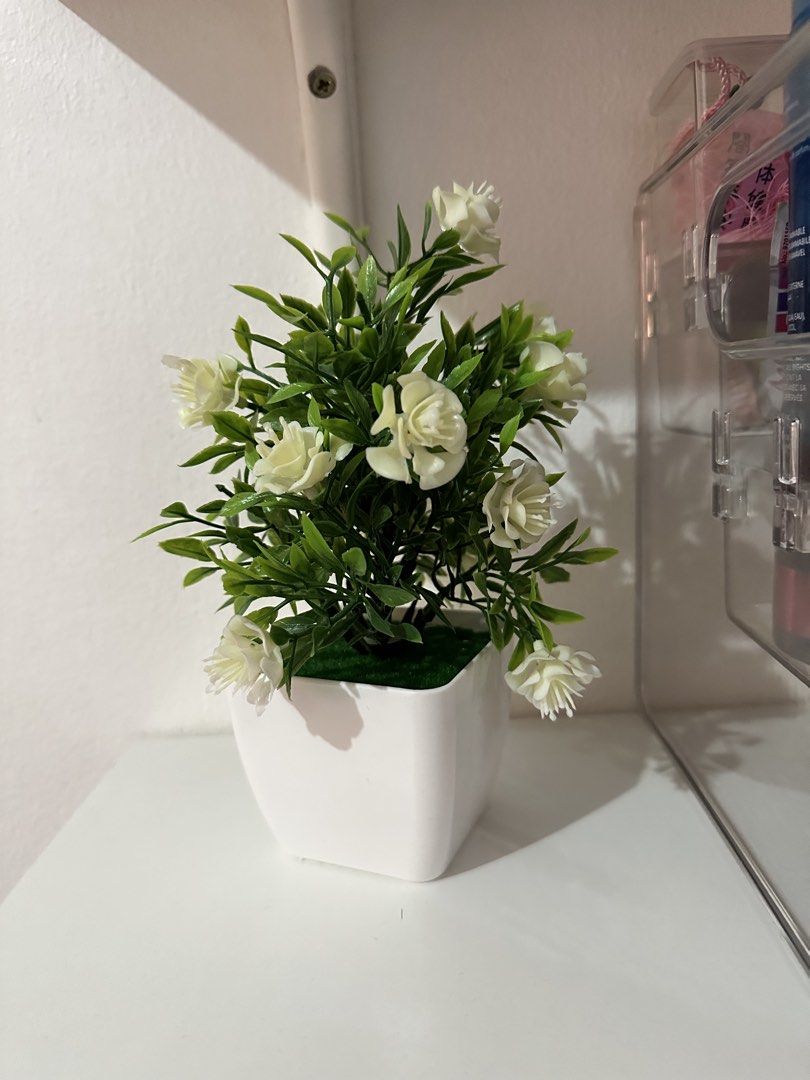 Potted Plant Room Decoration (Category: Other Home Decor) located in Manila. Submitted by rizmnl (Listing ID 1462296770, Image 2). Description: .
