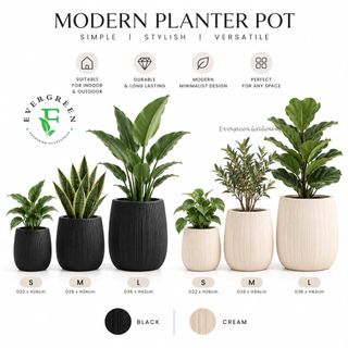 (Category: ) located in . Submitted by evergreen_gardening (Listing ID 1462320193, Image 1). Description: .